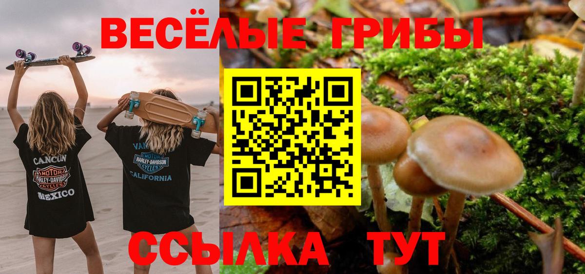 Изобильный  Галлюциногенные грибы Psilocybe  Вход с VPN 