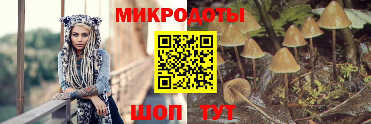 Галлюциногенные грибы GOLDEN TEACHER Изобильный